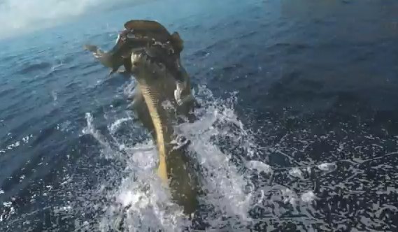 水生獣を捕食するナバルデウス