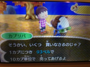 カブリバさん登場