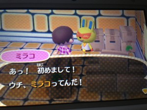うさぎのミラコさん登場