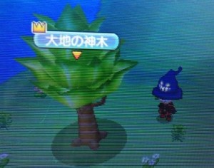 大地の神木 大地の神木