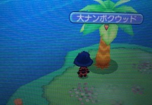大ナンボクウッドノ場所