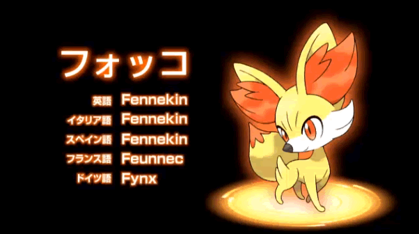 御三家その２、フォッコ