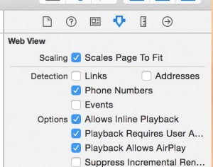「Scales Page To Fit」にチェックを入れる
